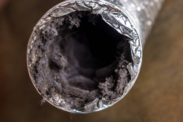 Best HVAC System Cleaning  in District Heights, MD