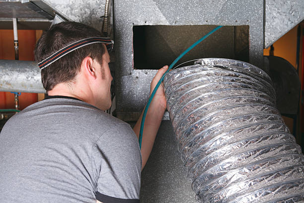Best Air Duct Mold Removal  in District Heights, MD