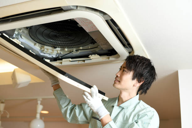 Air Duct Mold Removal in District Heights, MD
